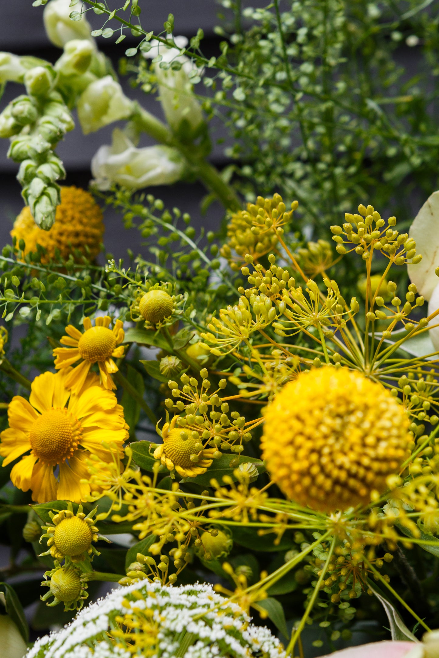 Yellow Meadows