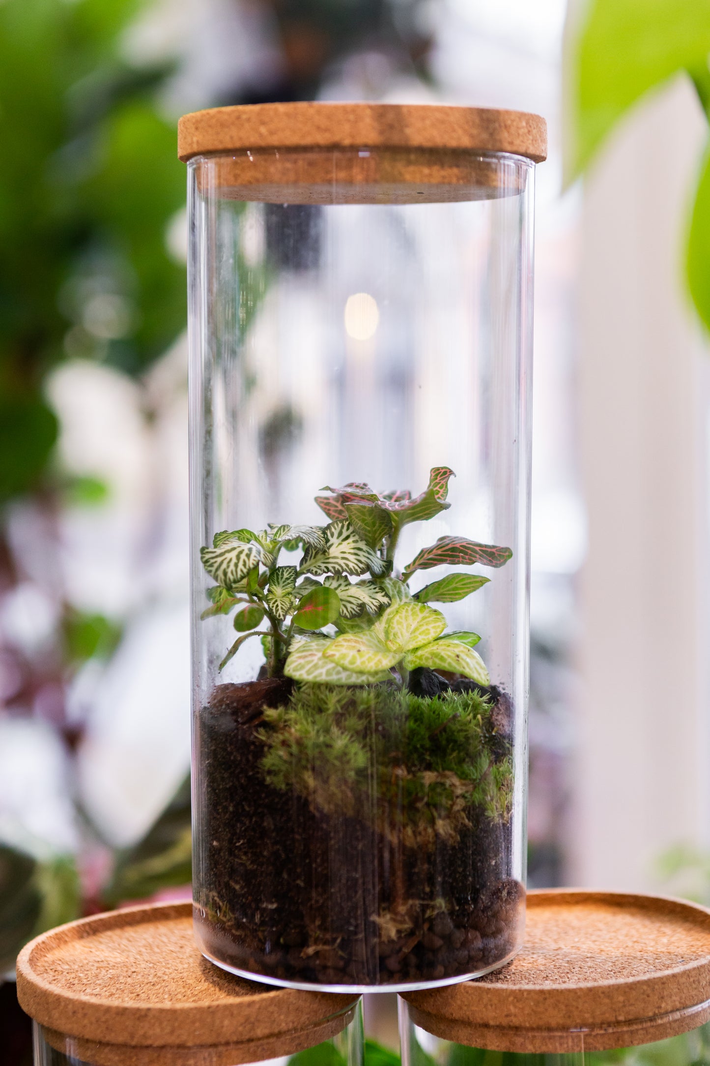 Kid's Summer Holiday Terrarium Workshop Ticket Age 10-13 | Slim Jar