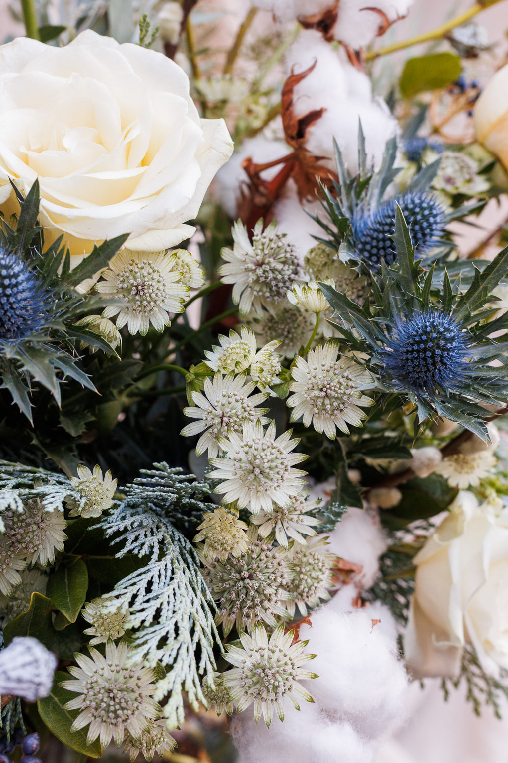 Pine and Pearl