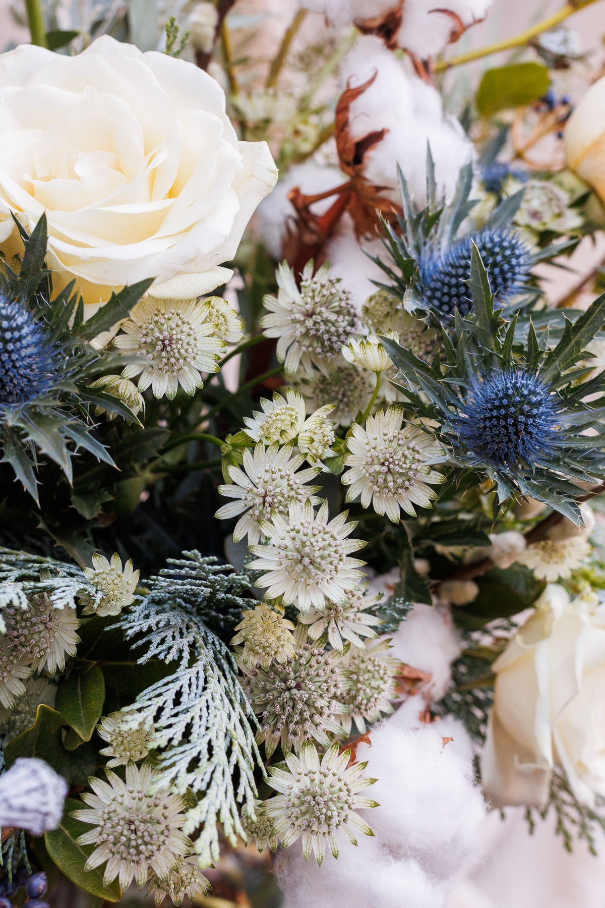 Pine and Pearl