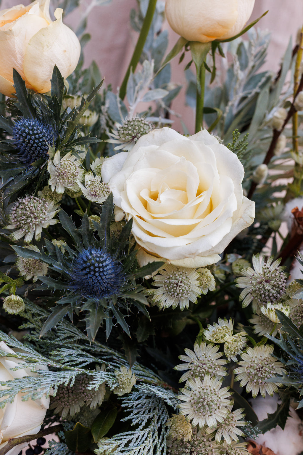 Pine and Pearl