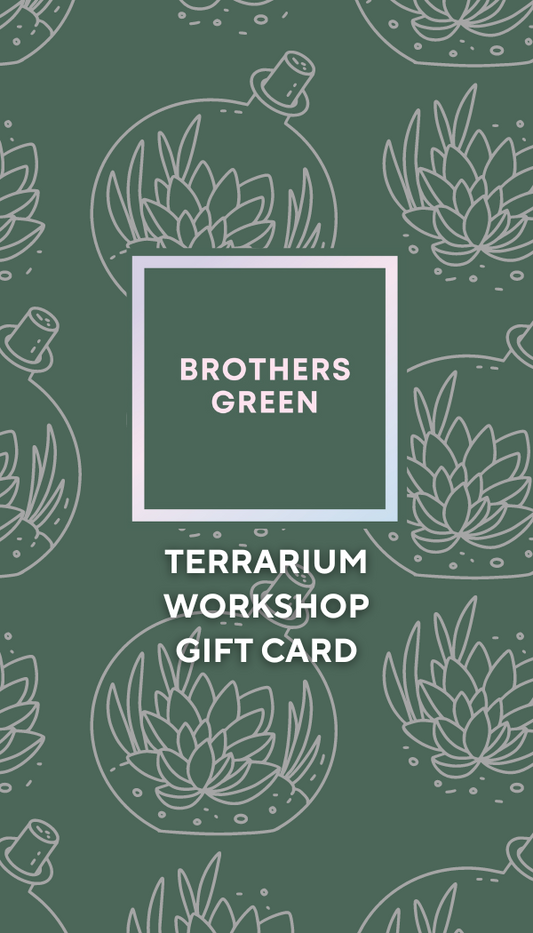 Terrarium Workshop Gift Card