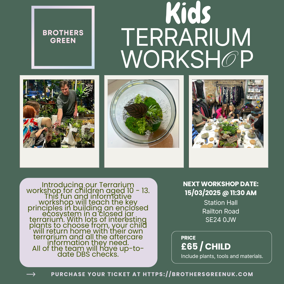 Kid's Terrarium Workshop Ticket