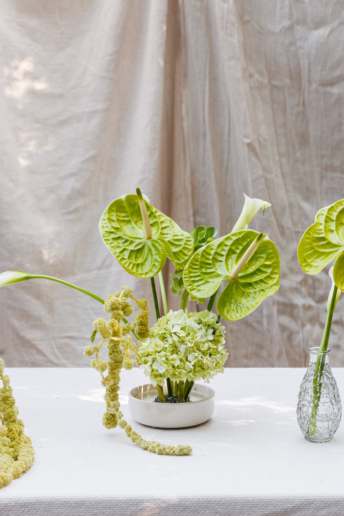The Verde Frog Bowl Arrangement