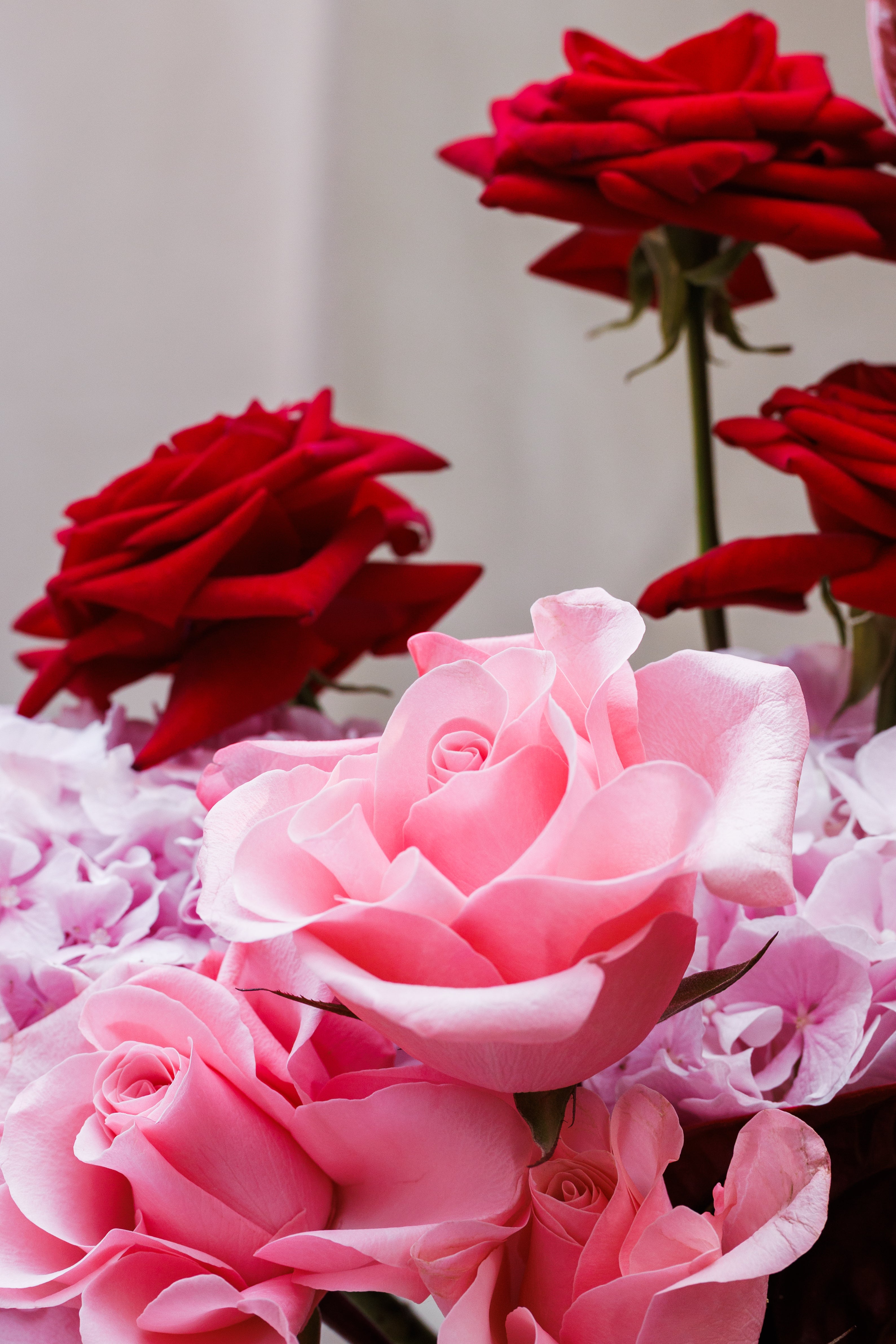 The Scarlett Bridal Bouquet