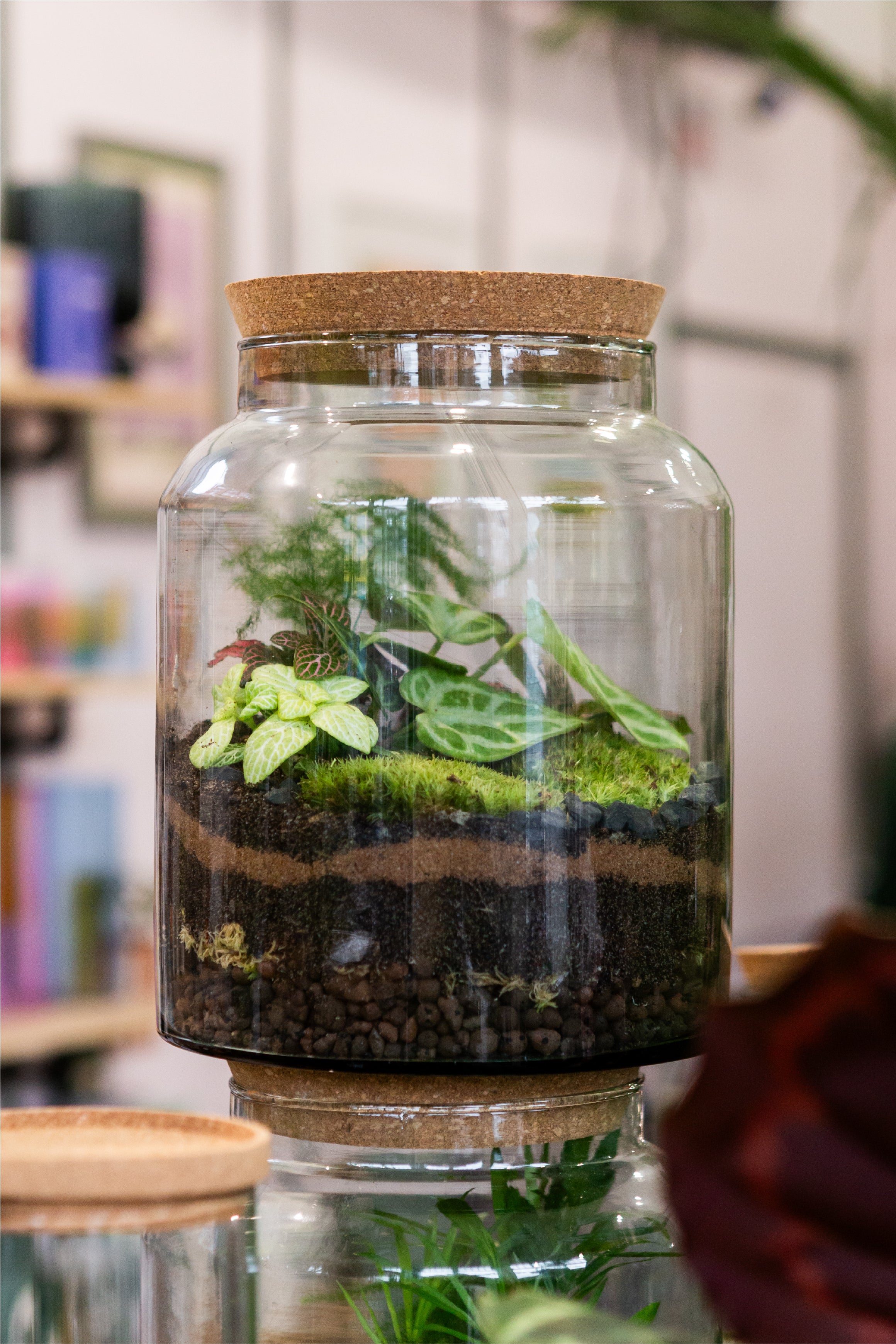 Terrarium Workshop Ticket