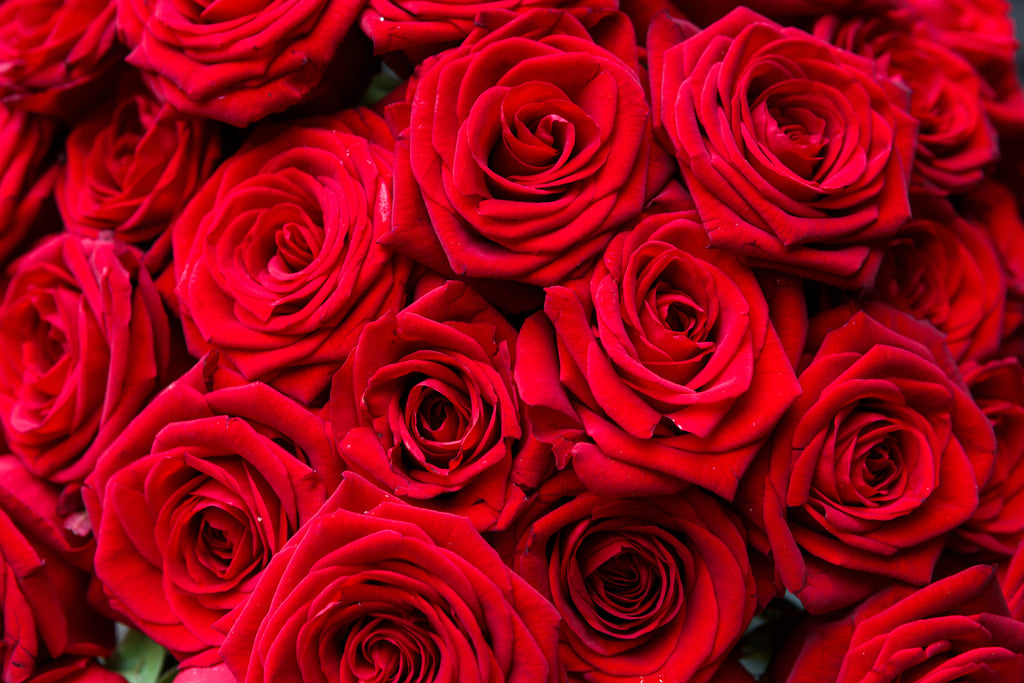 A Tale as Old As Time