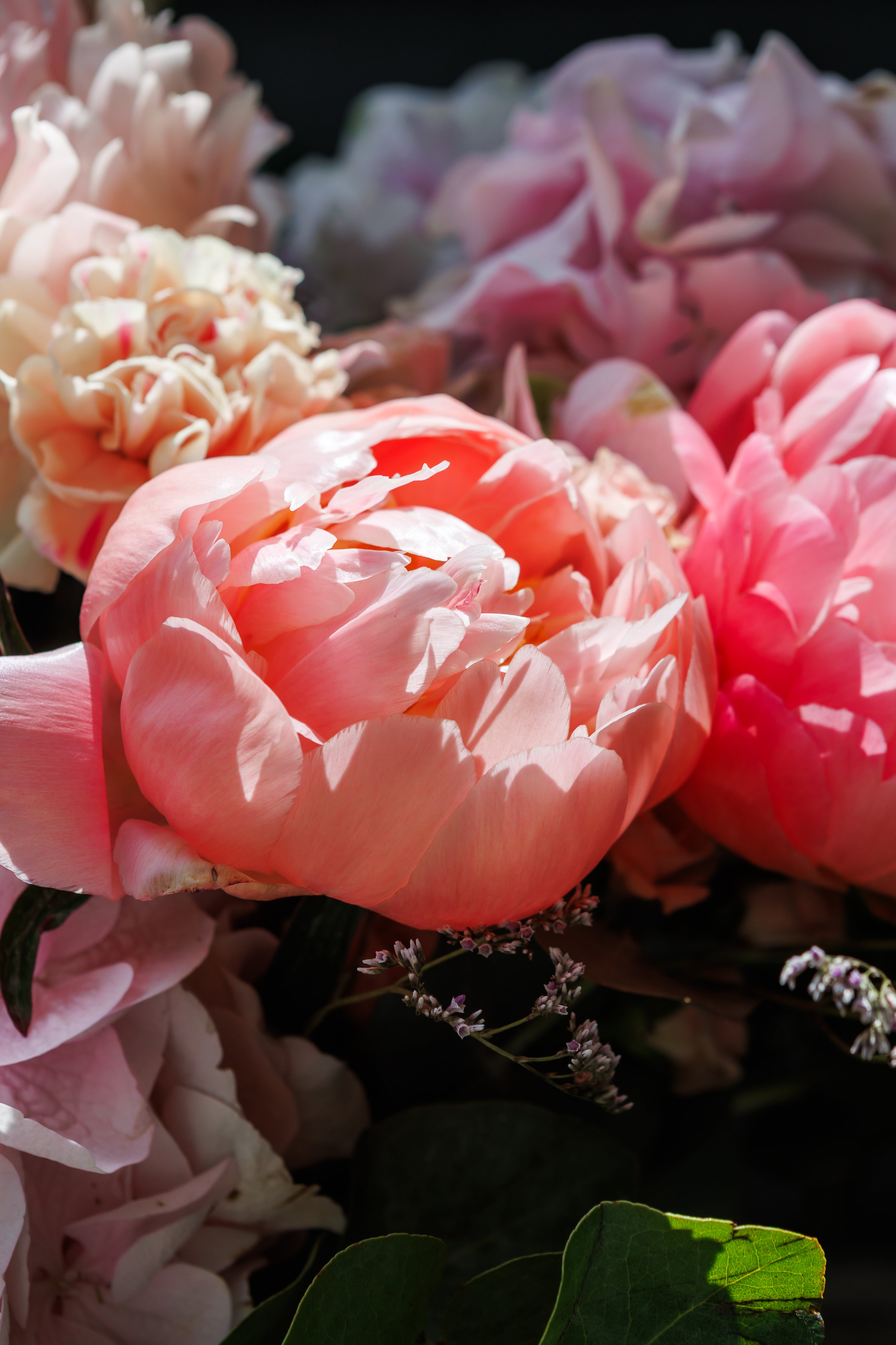 Pink Peony Club