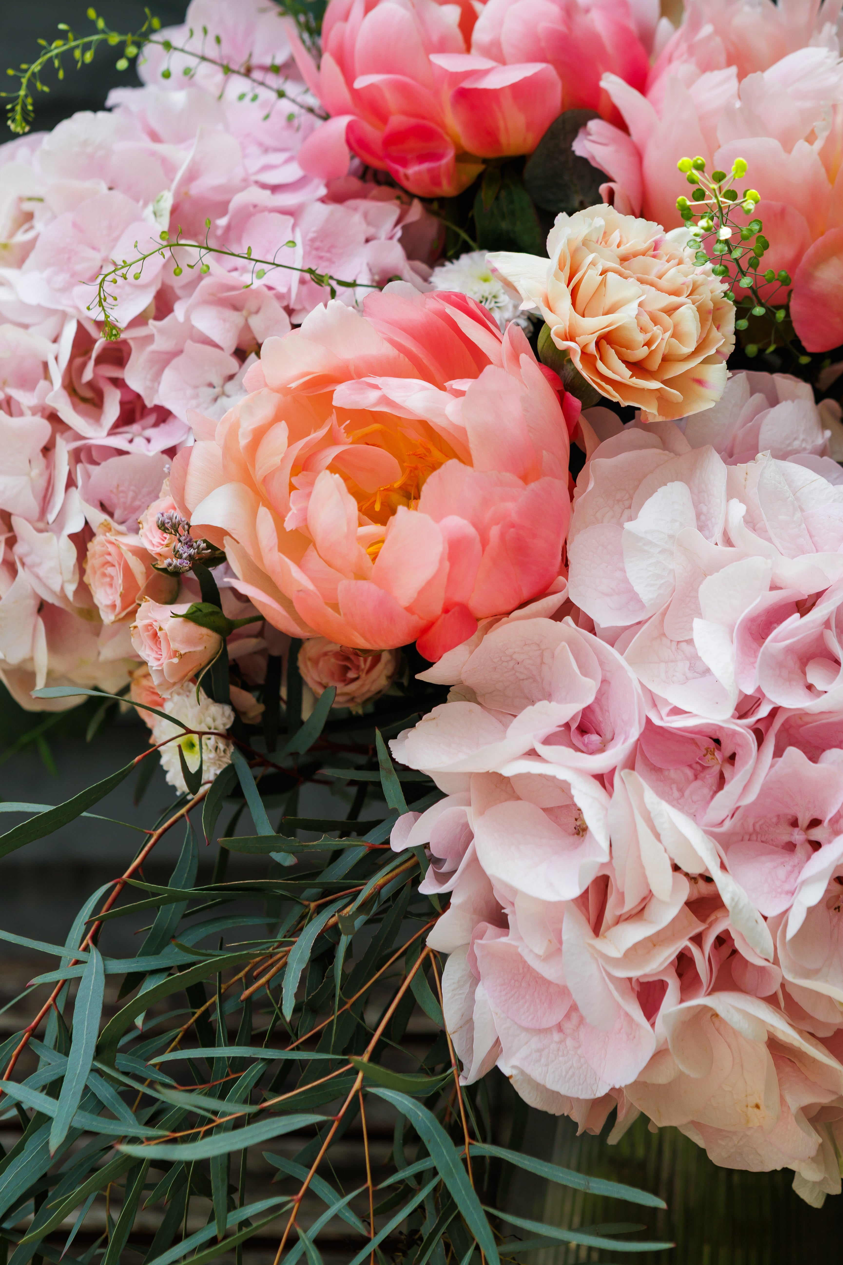 Pink Peony Club