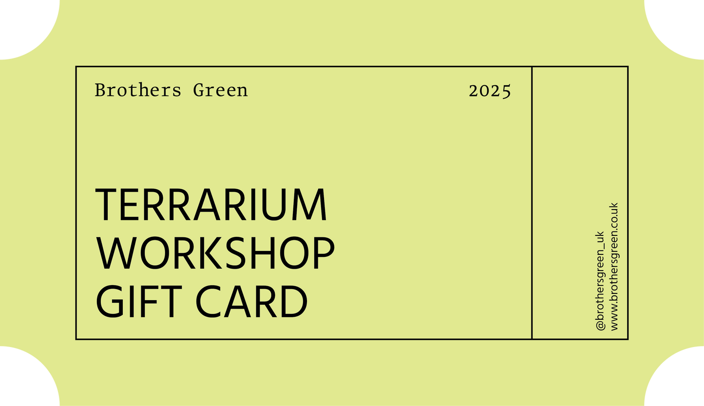 Terrarium Workshop Gift Card
